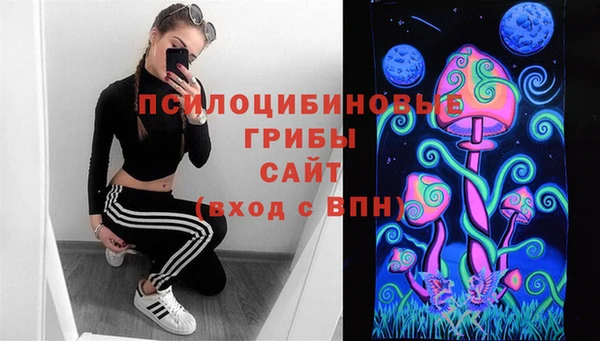 меф Алексин