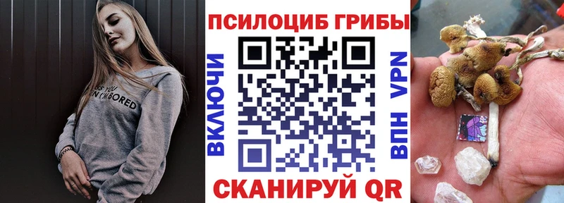 хочу наркоту  Ливны  Псилоцибиновые грибы Psilocybe 