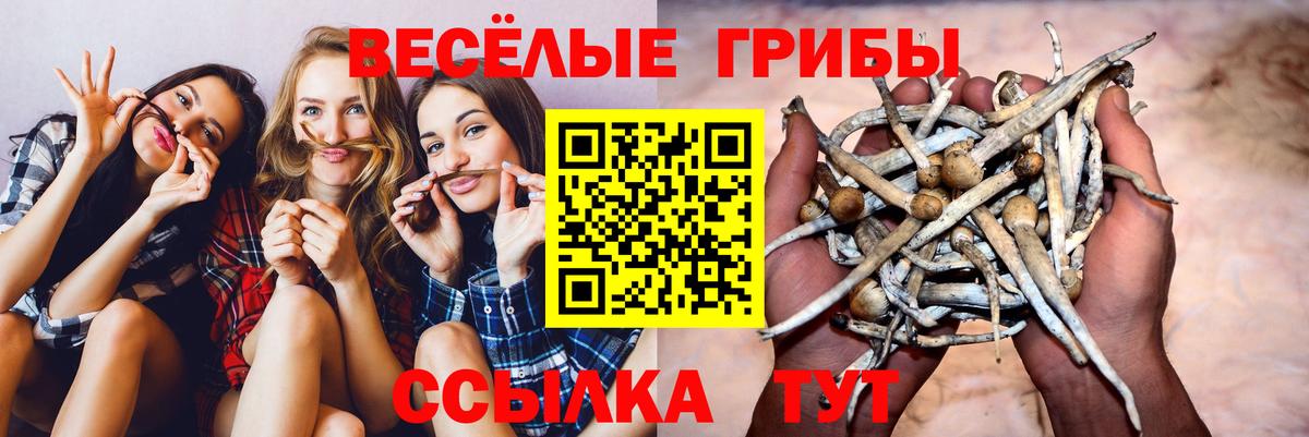 Псилоцибиновые грибы мицелий  Вход с VPN  Галлюциногенные грибы Psilocybine cubensis  Ливны 